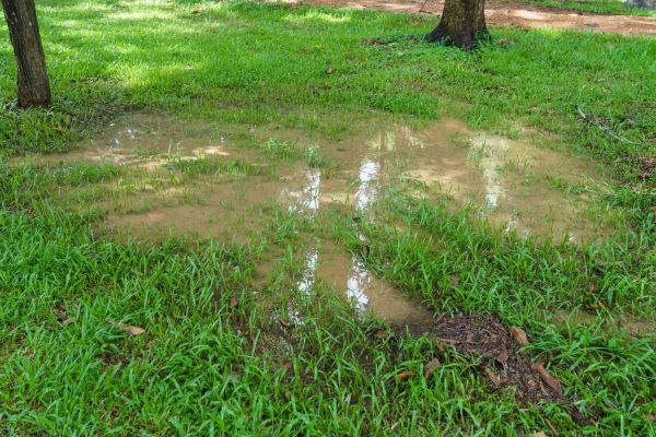 Storm Water Drainage Service in Grove City