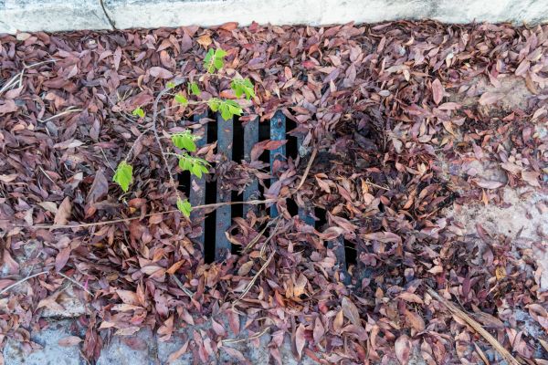 Yard Drain Unclogging in Grove City