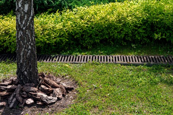 Wet Yard Drainage in Grove City