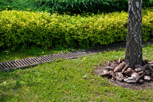 Residential Landscape Drainage in Grove City