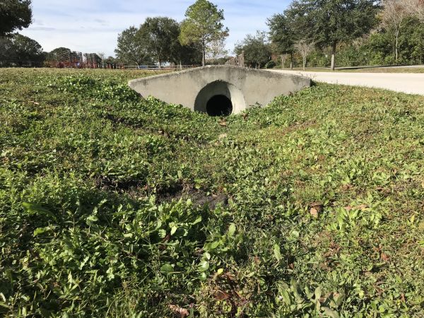 Cost of Swale Drainage Service in Grove City